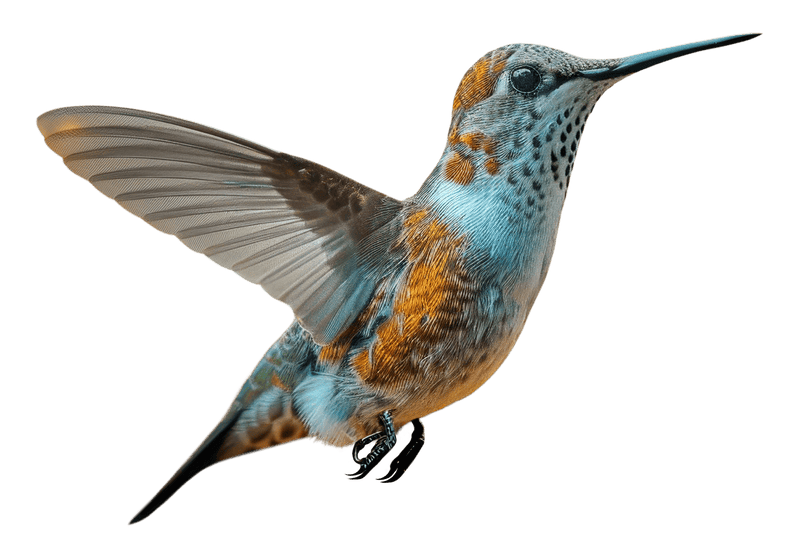 Exoten und Ziervögel