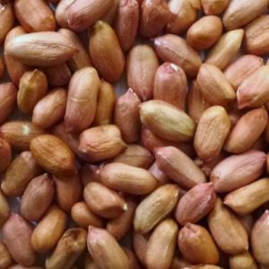 Erdnüsse mit Haut - ungeschält - 5kg für Haustiere im Tierfutterpro Shop