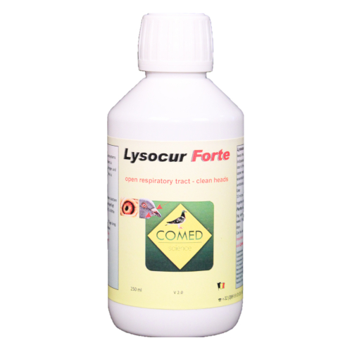 Comed Lysocur Forte 1000ml für Haustiere im Tierfutterpro Shop