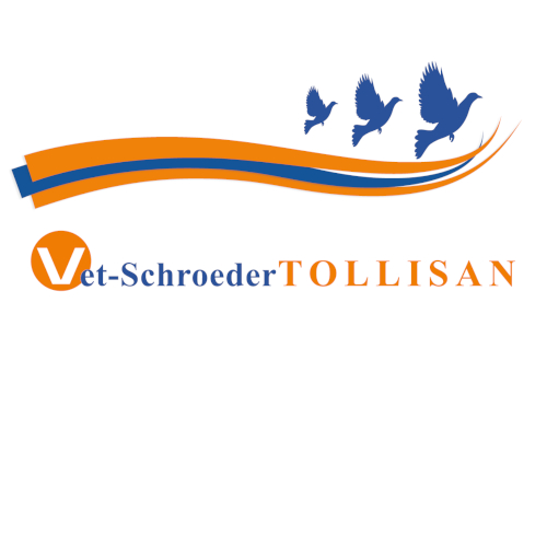 Vet. Schroeder + Tollisan