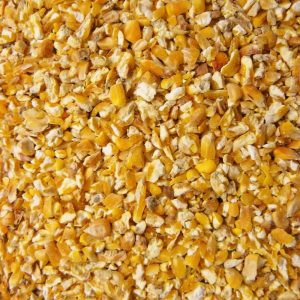 Eurital broken maize, broken maize for animals