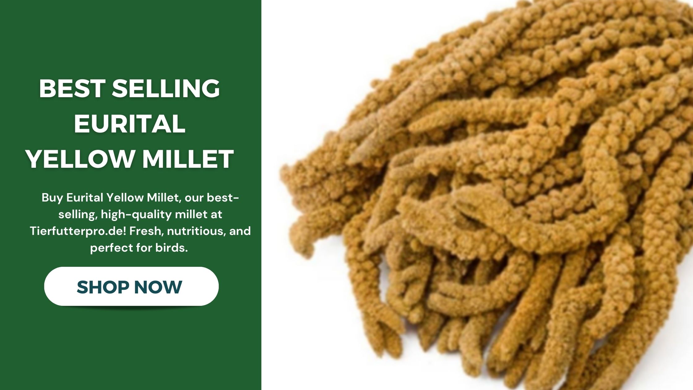 Shop Best selling Eurital yellow millet