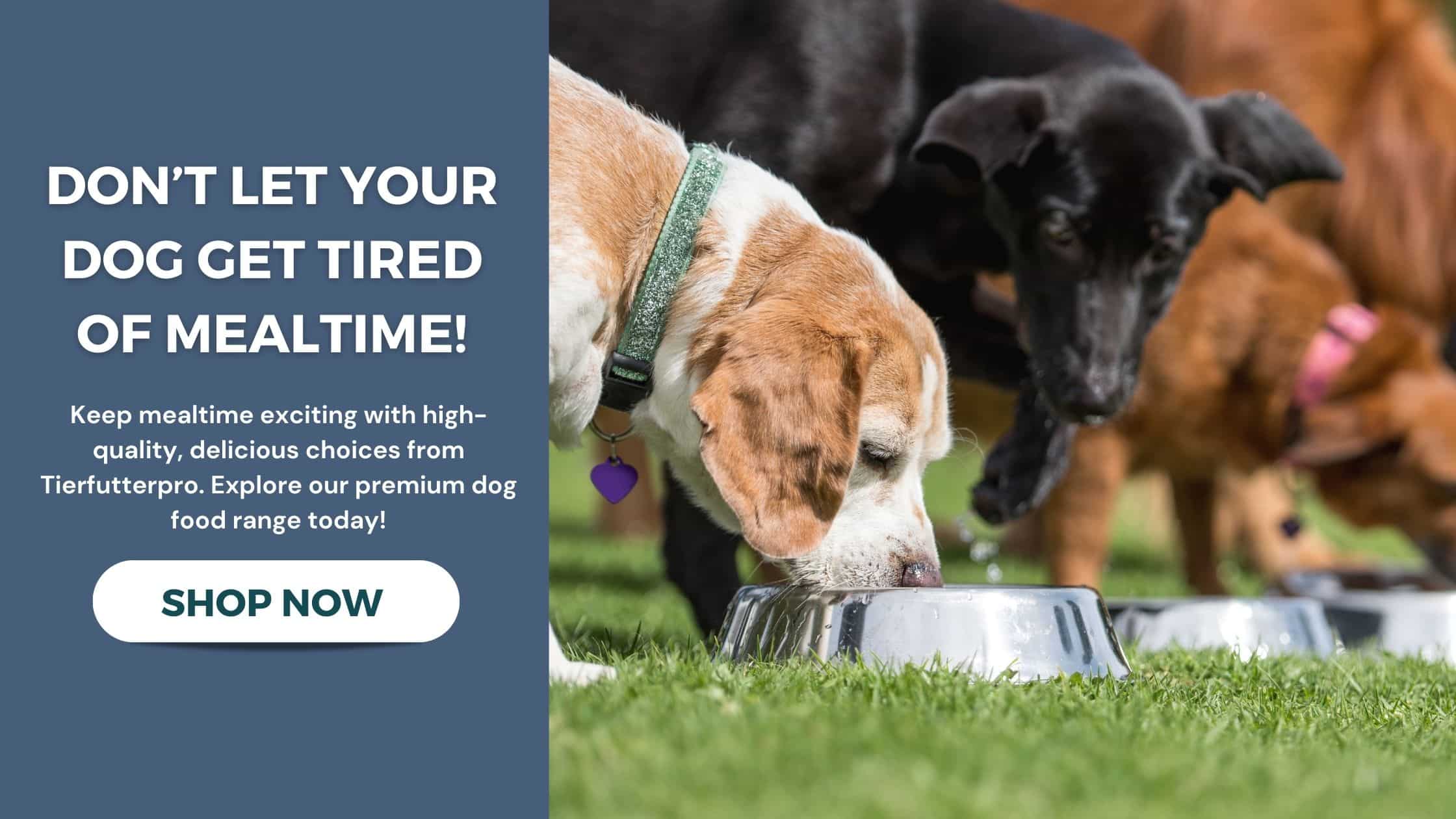 Don’t Let Your Dog Get Tired of Mealtime. Shop premium dog foods.