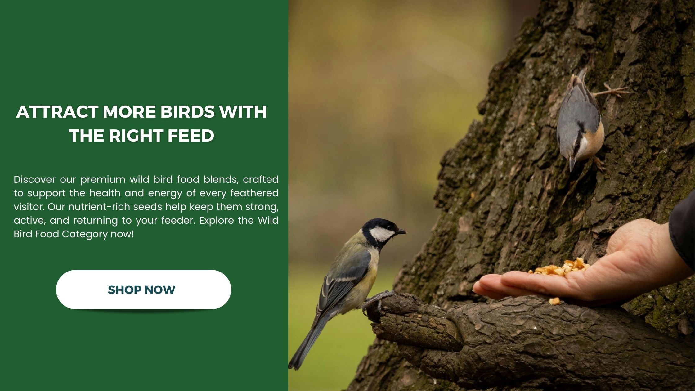 Shop premium wild bird food