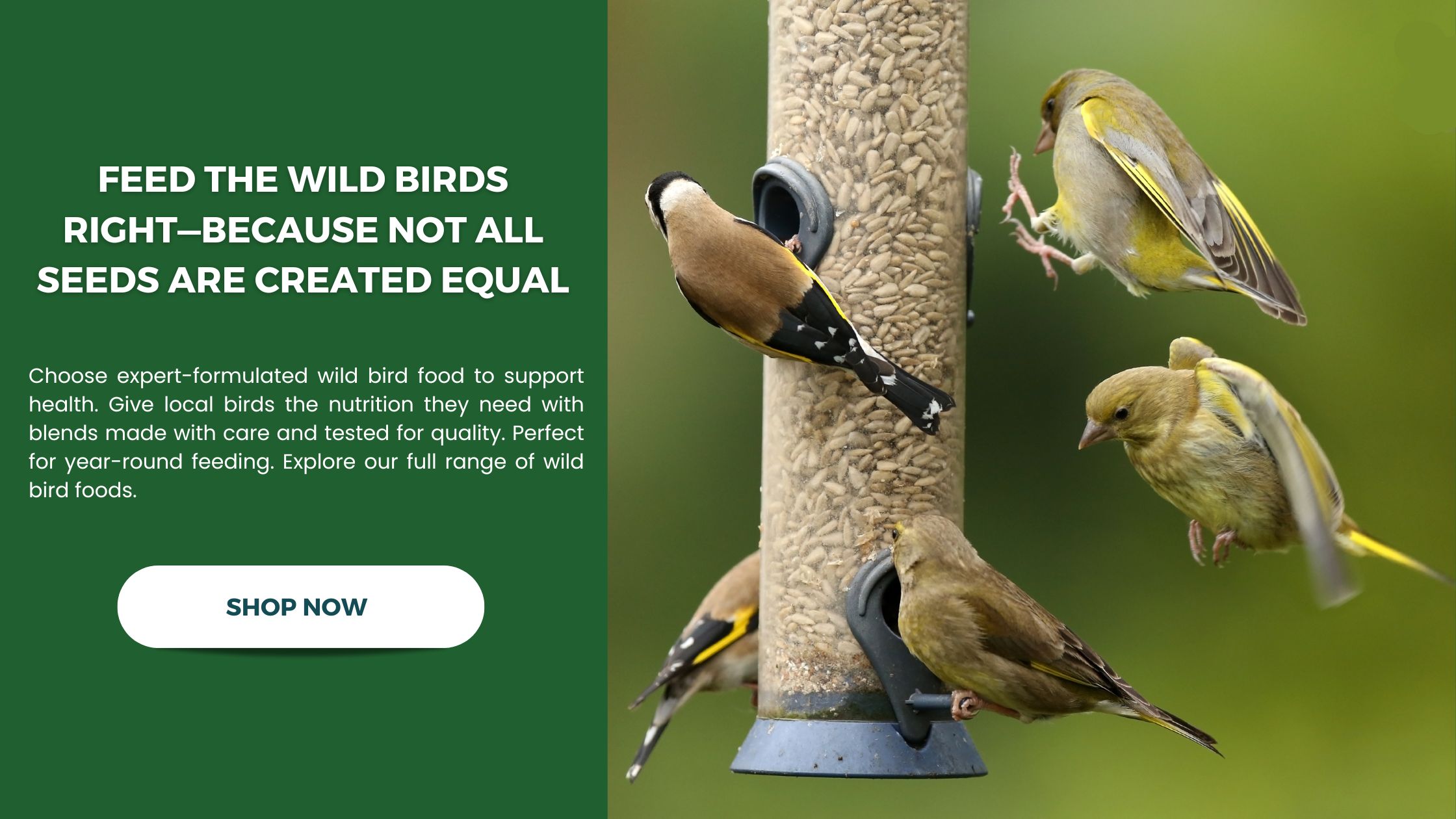 Shop high quality wild bird food products